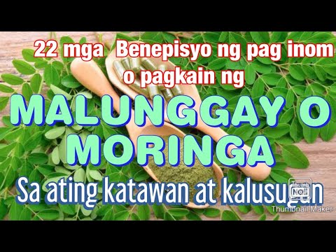 Benepisyo ng  malunggay o moringa oleifera. Benepisyo ng pag inom at pagkain ng malunggay. Superfood