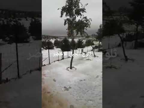 ثلوج الجبل الأخضر شرق ليبيا برقة 