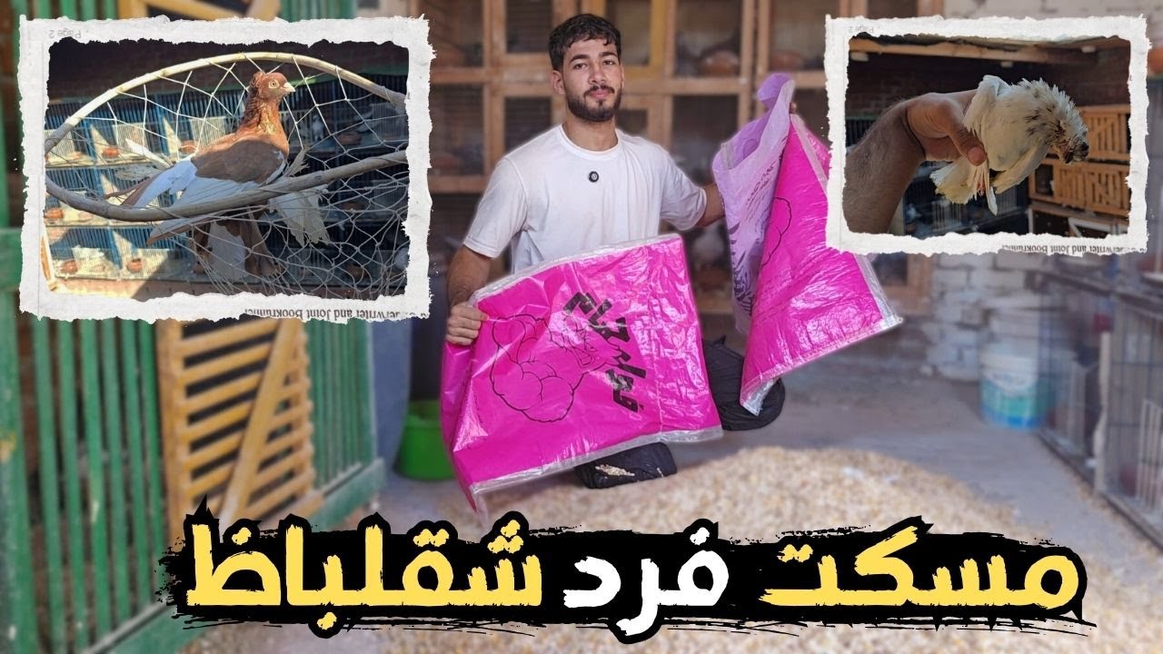 مسكت فرد حمام شقلباظ 🤯 وعملت كلفة للحمام جديدة 🧐 الجعفرى مات..!!