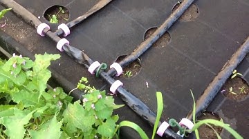 Умная морковная грядка на Arduini Uno