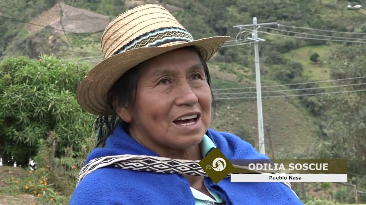 Los siete círculos de la palabra - Tejido