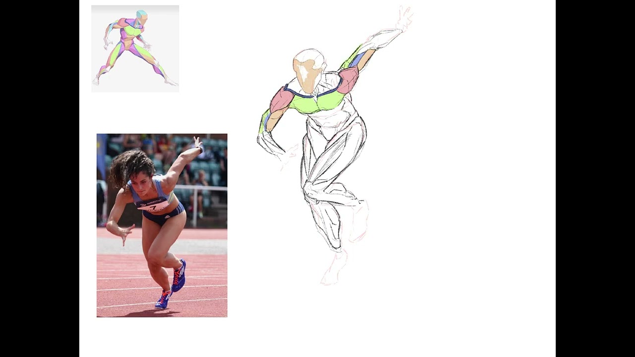 Procreate - Anatomy Study Time lapse 01