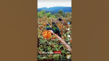 استمع الى القران الكريم اجر لي ولك #سوره