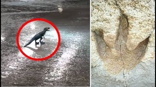 Download Lagu The Kawuk | Modern Day Dinosaur Sightings In Indonesia? MP3