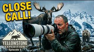 My Epic Moose Encounter + Yellowstone Winter is Coming! ❄️