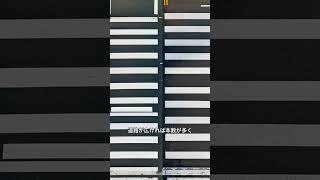 横断歩道の白線の本数に隠された真実