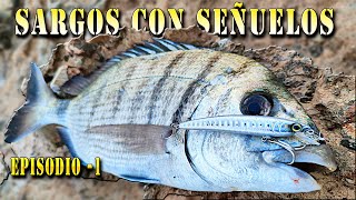 COMO PESCAR SARGOS CON SEÑUELO ( TEORICO PRACTICO -1 )