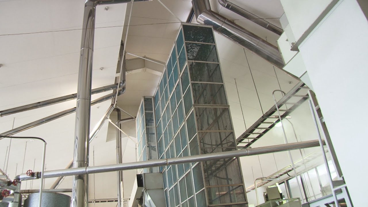 碾茶（てんちゃ）抹茶の原料が出来るまで