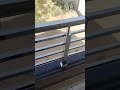 Balcony Railing Design Steel Railingdesign Railing 