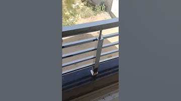 Balcony Railing Design 🔥 #steel #railingdesign #railing