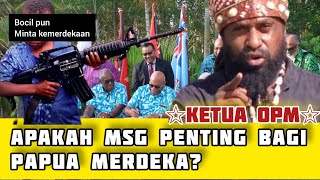 Is MSG important for independent Papuan? Melanesian for Papuan