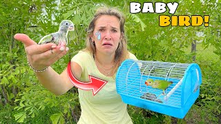 BABY BIRDS RESCUED FROM ONLINE! WHERE’D THEY COME FROM?!