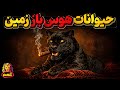 هوس باز ترین حیوانات زمین 