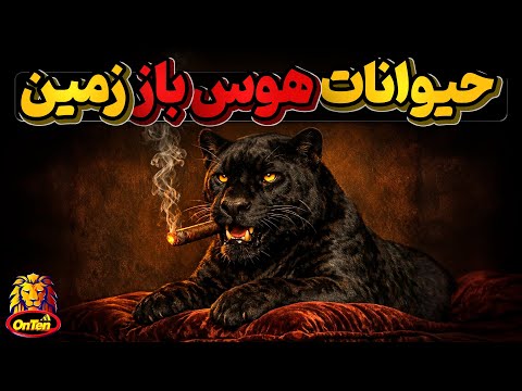 هوس باز ترین حیوانات زمین 