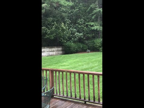 Tropical Storm Isaias: Power outages, storm damage across western Massachusetts