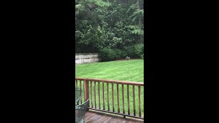Tropical Storm Isaias: Power outages, storm damage across western Massachusetts