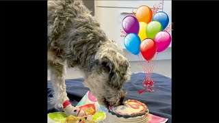 My 15th Birthday Highlights!