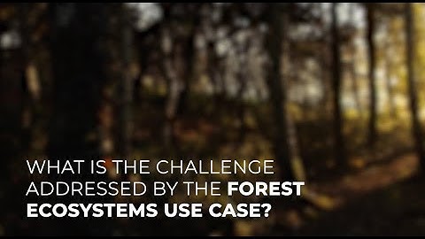 Forest Ecosystems Use Case - EO4EU
