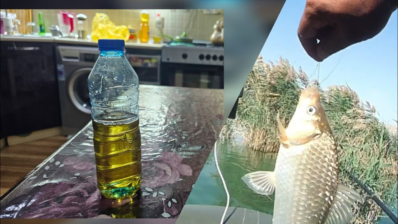 Jımıx siropunun hazırlanması və Lökbatan gölü balıq ovu.