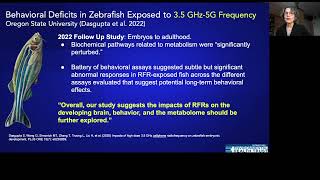 Dr. Devra Davis Plants, Zebra Fish and 5G and Wireless
