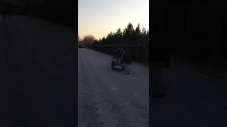 IMG 3428