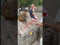 monkey ne yak chat mara#monkeyvideo #youtubeshorts #trendingshort #monkey #animals #virelshorts