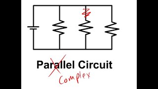 Celebrity Part 5 Complex Circuits Net Worth