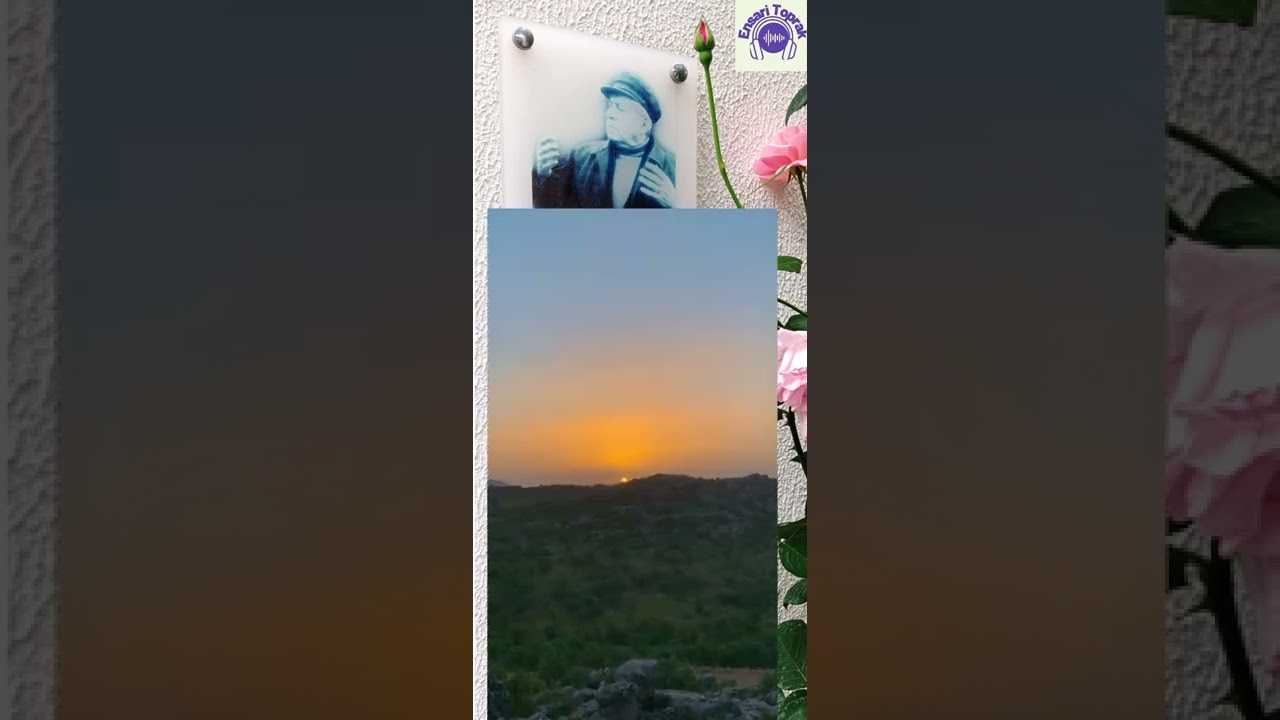İçerde Ahmed Arif (Haberin Var mı Taş Duvar) şiir YouTube