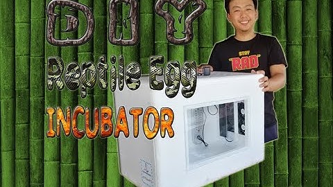 EXONIPARDS DIY Reptile Egg Incubator