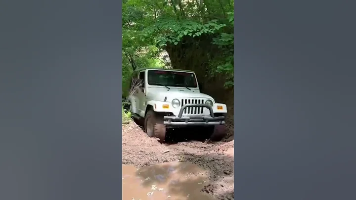 Alice in stock form climbing hills 🤘