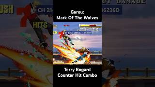 Garou: Mark Of The Wolves - Terry Bogard Counter Hit Combo (FF: COTW-style combo)
