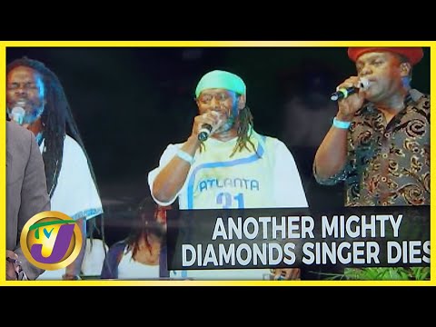 Bunny Diamond is Dead | TVJ News