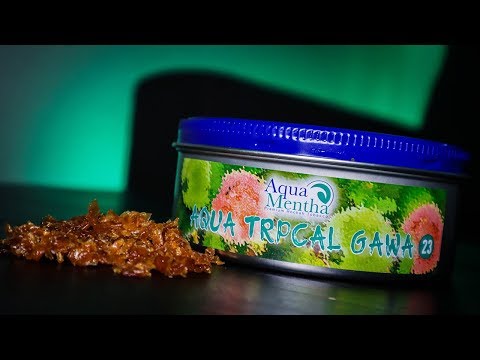 AQUA MENTHA TRPCL GAWA (Typ Java) | Wie der Rockstar Tropical Guave!? ⭐