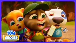 Biwak w OGRÓDKU zamienia się w chaos! 🏕️ Talking Tom | Bajki dla Dzieci