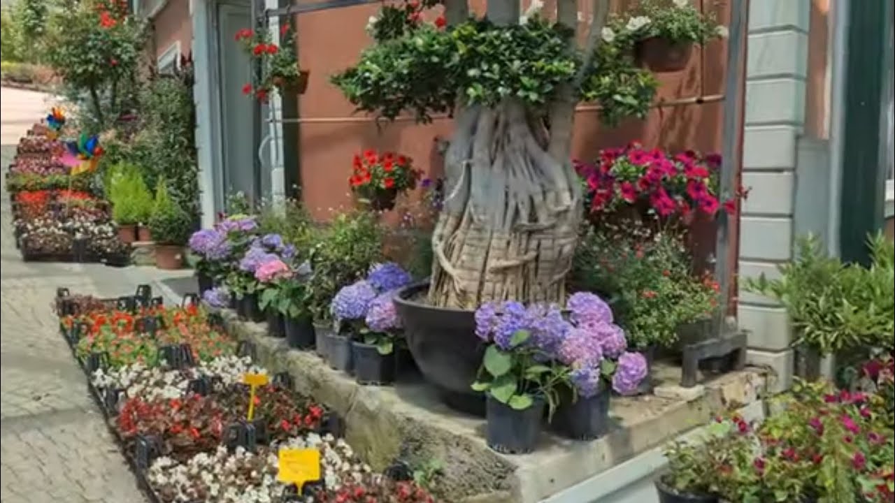 Büyük Çamlıca Fidanlığı'nda 2. Tur Çiçek Gezisi İle Yine Farklı Türler