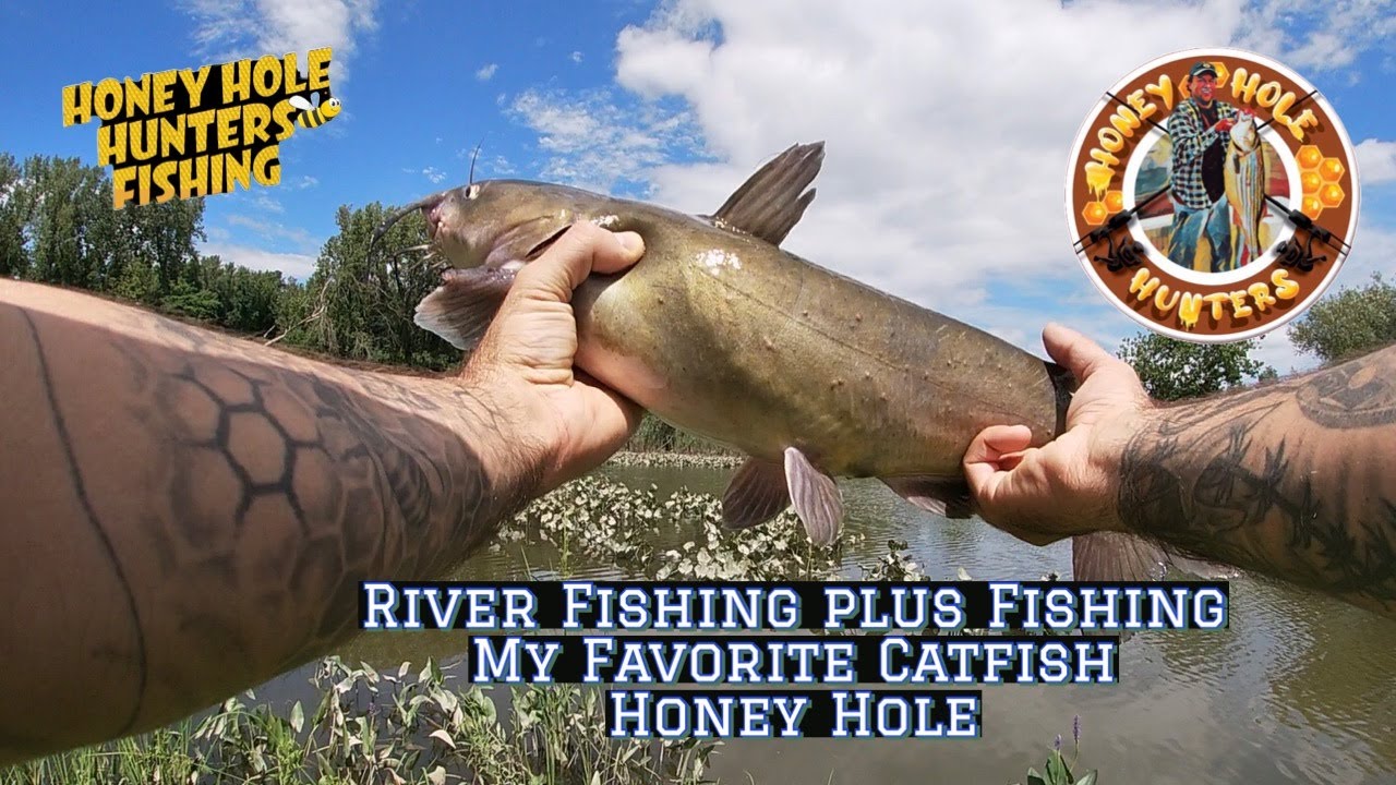 River Fishing for Smallies + Catfish Honey Hole YouTube