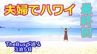 妻とハワイ旅行最終回【ザ・バス巡り】ハワイの楽しみ方
