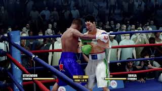 Fight Night Champion Shakur Stevenson Vs Ryosuke Iwasa GroovyDays