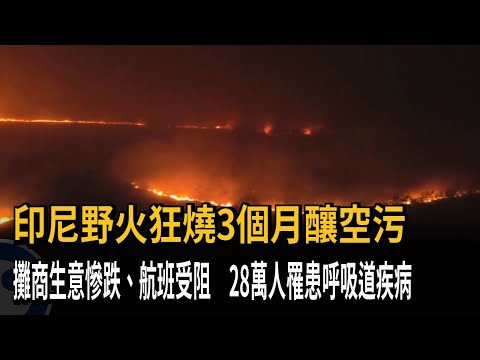 Indonesia Wildfires Rage for 3 Months, Causing Severe Air Pollution: Local Businesses Hit, Flight...