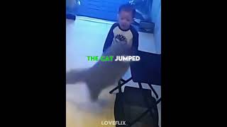 The Lost Boy Found Comfort In A Stray Cat 🥺❤️‍🩹 #usa #shortsfeed #animals