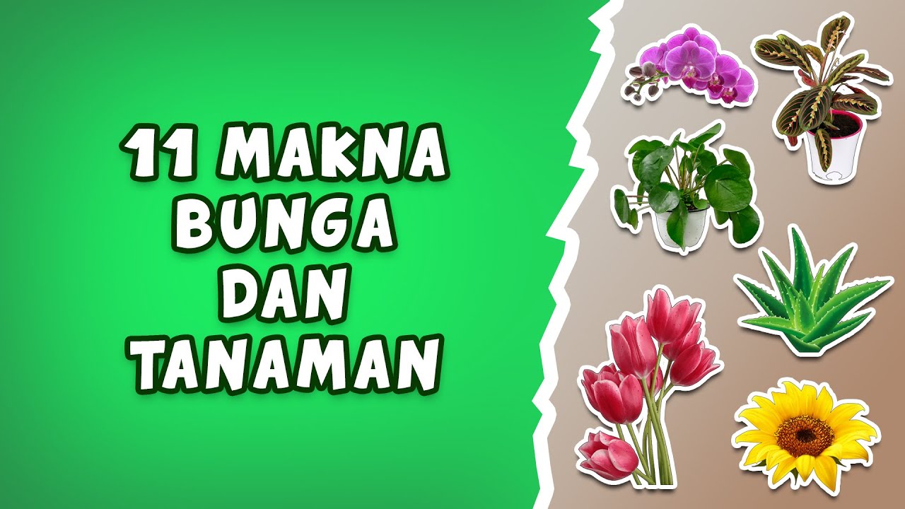 11 Makna BUNGA dan TANAMAN, YUK CARI TAU !