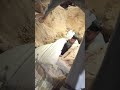 شاهد كيف يتم دفن الميت في مقبره وادي اسلام النجف الاشرف شاهد كيف يتم دفن الميت في مقبره وادي اسلام النجف الاشرف