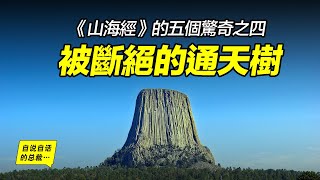 《山海經》的五個驚奇之四被斷絕的通天樹美國這顆高達400米的“樹墩化石”究竟是不是遠古通天樹的遺址上古世界究竟有什麼樣的驚奇故事|自說自話的總裁