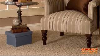 New Carpet Installation Home Depot