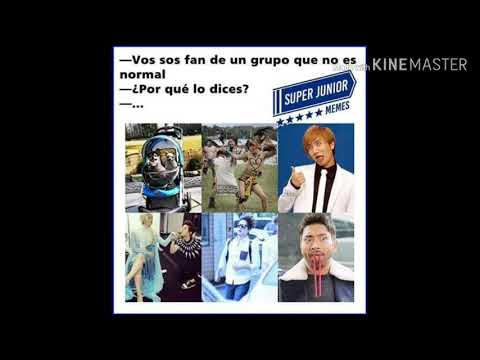 Memes De Super Junior