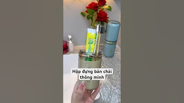 Hộp đựng bàn chải kem đánh răng thông minh #giadung #dodungthongminh#dodpdungbanchaidanhrang