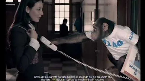 Come trovare un numero di telefono fisso?