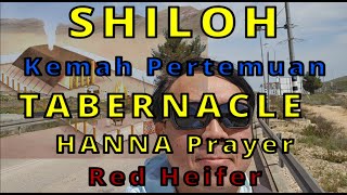 SHILOH - TABERNACLE / Kemah Pertemuan / HANNAH PRAYER / Red Heifer / Lembu Merah
