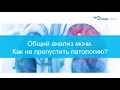 Общий анализ мочи - как не пропустить патологию?