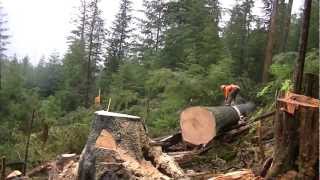 Michael Hawkins The Cutter Travels North To Alaska In Search Of Big Wood